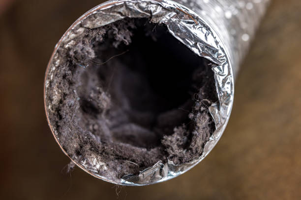Best Ventilation Cleaning Services  in Goodland, IN
